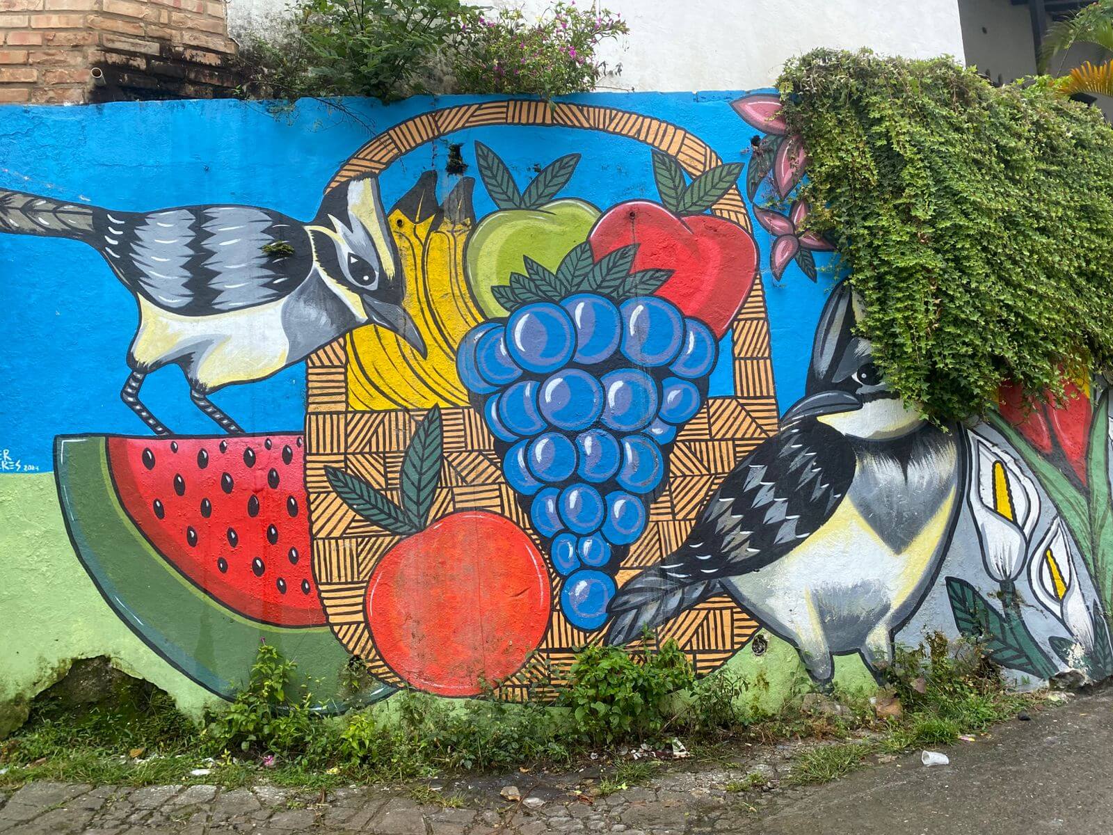 Rutas whatsapp image 2025 08 05 at 20.40.45 (3) (1)