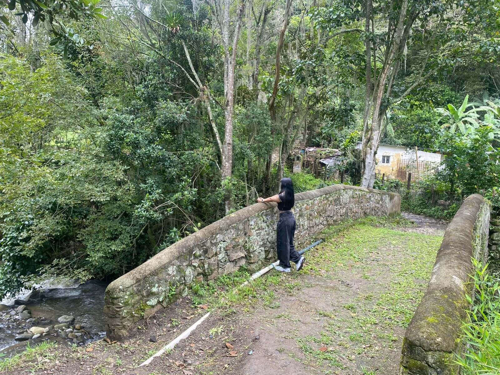 Rutas whatsapp image 2025 12 12 at 23.54.16 (1)