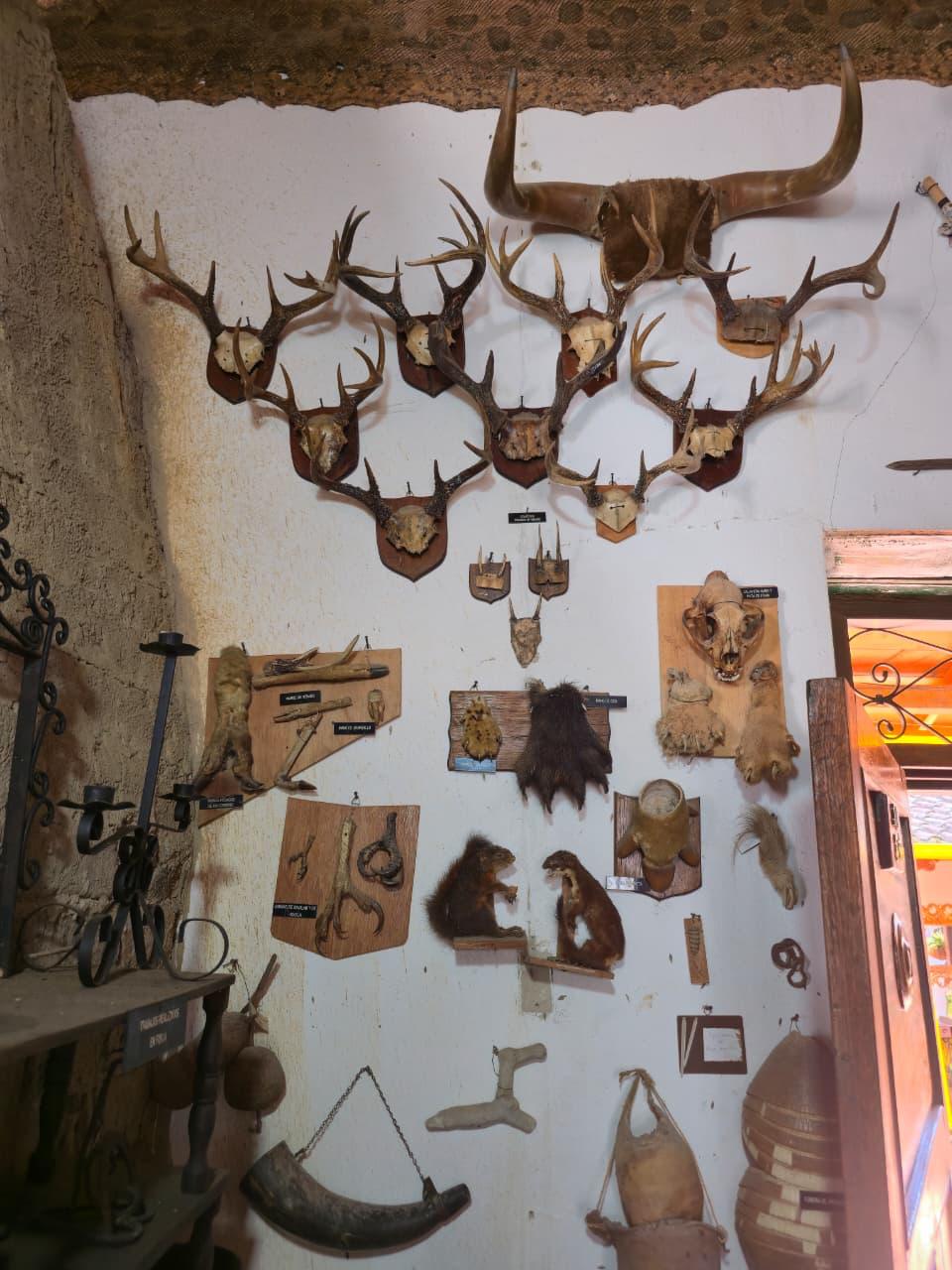 Rutas whatsapp image 2025 08 05 at 20.40.45 (1)