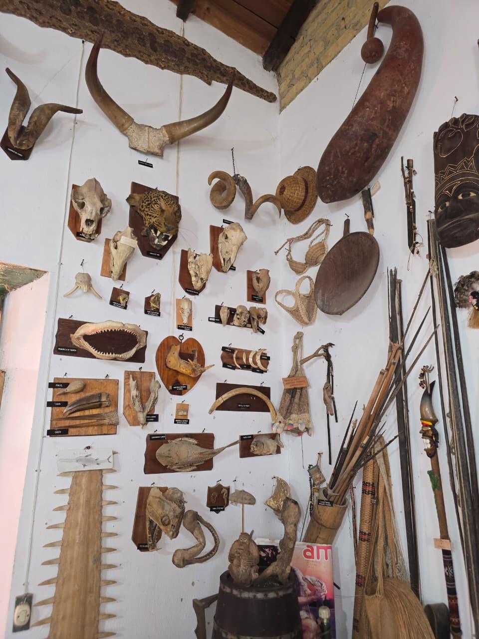 Rutas whatsapp image 2025 08 05 at 20.40.45 (2) (1)