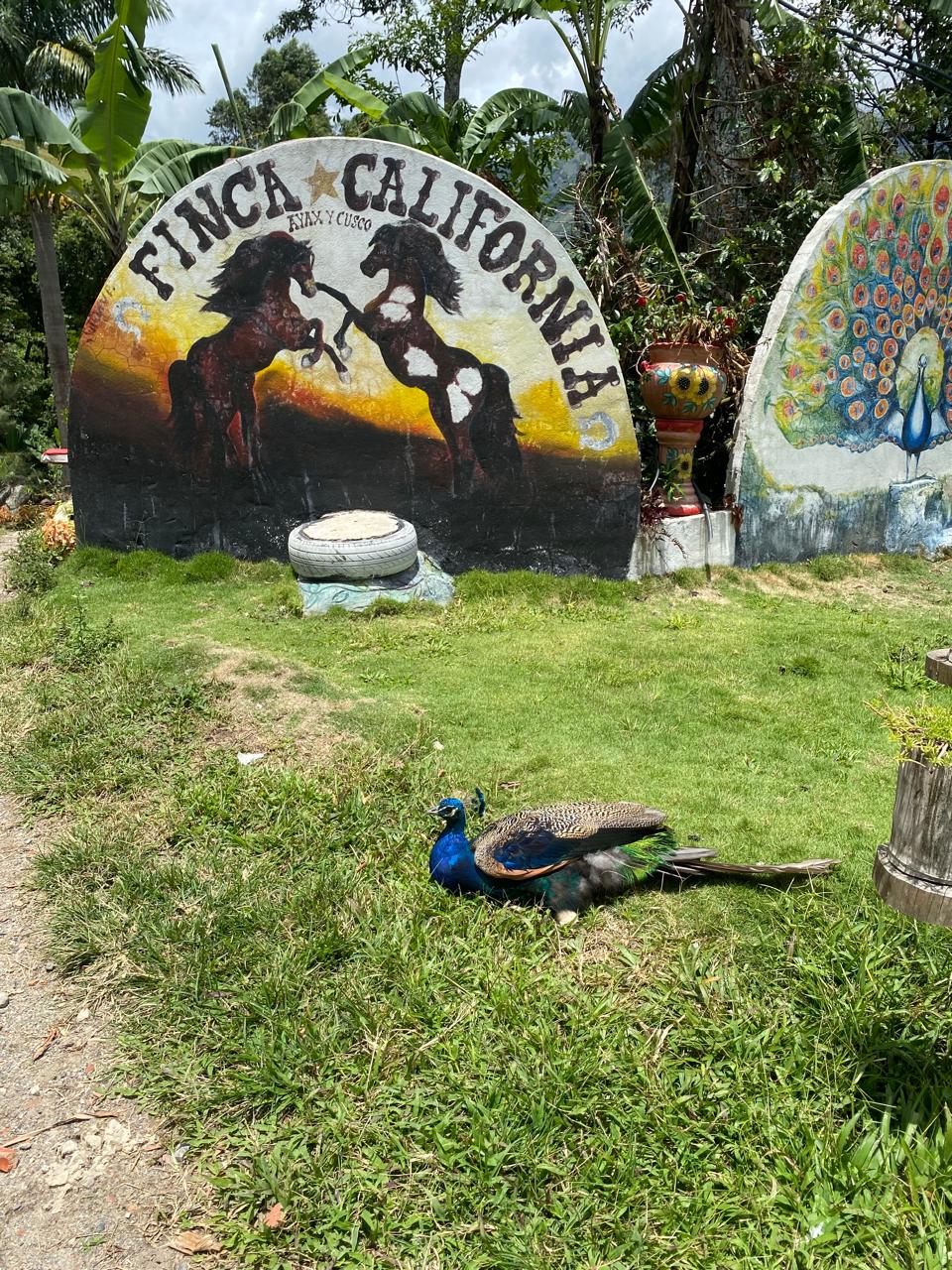 Rutas whatsapp image 2025 08 05 at 20.40.45 (2) (1)