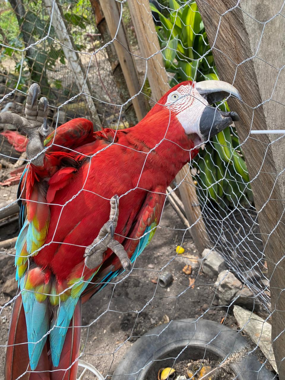 Rutas whatsapp image 2025 08 05 at 20.40.45 (1)