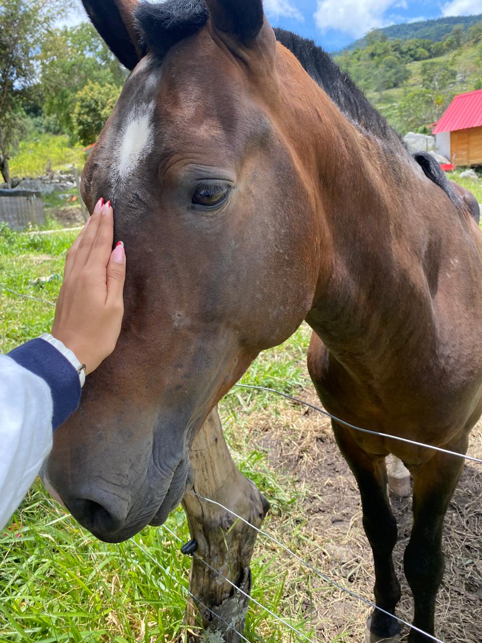 Rutas whatsapp image 2025 08 11 at 20.32.17 (1)