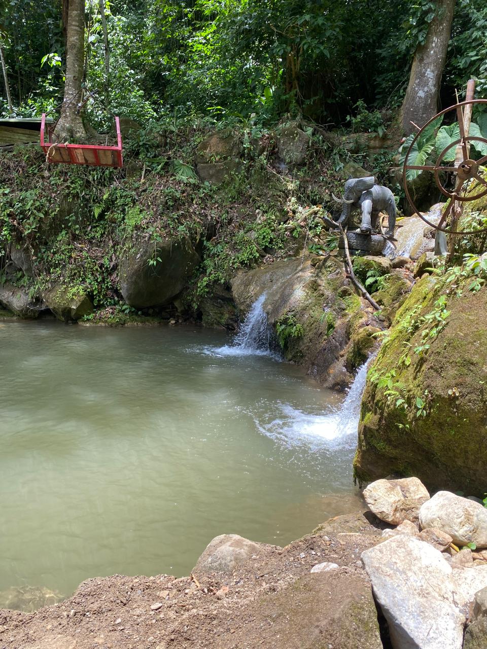 Rutas whatsapp image 2025 12 12 at 23.54.16 (1)