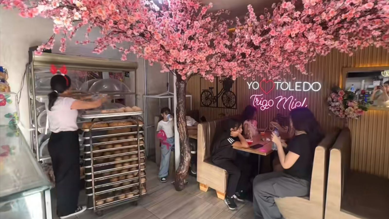 Rutas whatsapp image 2025 12 12 at 23.54.16 (1)